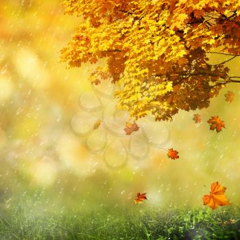 Seasonal abstract backgrounds for your design