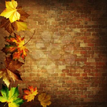 Abstract autumnal backgrounds against old brickwall