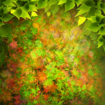 Beauty Nature. Abstract natural backgrounds for your design