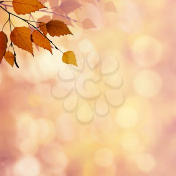 Abstract autumnal backgrounds with beauty bokeh for your design
