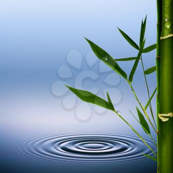 Bamboo. Abstract environmental backgrounds