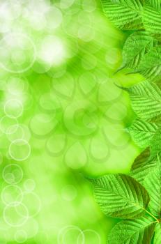 abstract spring backgrounds with beautiful bokeh