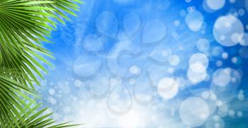 abstract spring backgrounds with beautiful bokeh and palm leaves
