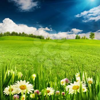 Summer time, abstract environmental backgrounds for your design