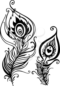 Royalty Free Clipart Image of Stylized Peacock Feathers