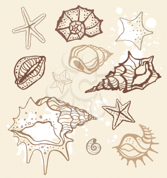 Royalty Free Clipart Image of a Seashell Background