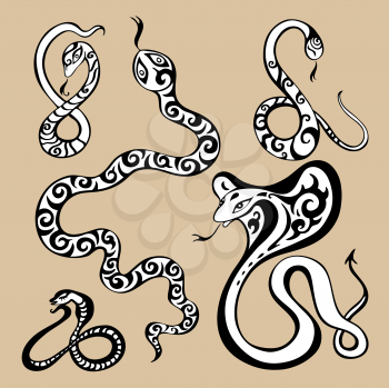 Royalty Free Clipart Image of a Year of the Snake Background