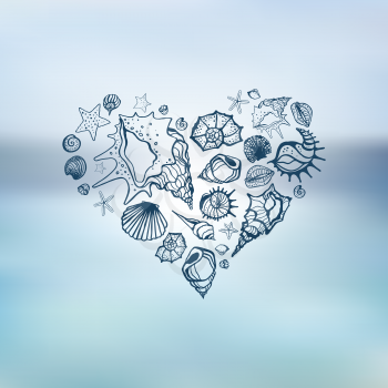 Heart of Sea shells.  Summer holidays. Hand drawn vector illustration. Sea background.