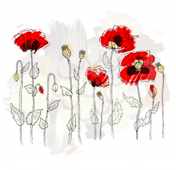 Red poppies on white background. Vector illustration