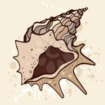 Grange sea shell. Hand drawn vector illustration