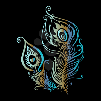 Beautiful peacock feathers. Hand Drawn vector illustration
