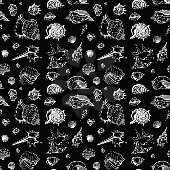 Seamless pattern of Sea shells. Hand drawn vector illustration