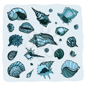 Collection of seashells. Hand drawn vector Illustration. Sea shell set
