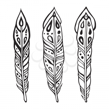 Vintage tribal Feathers. Hand drawn Vector illustration