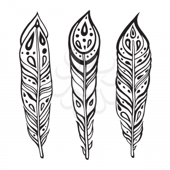 Vintage tribal Feathers. Hand drawn Vector illustration