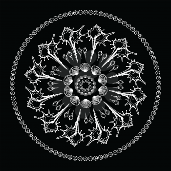 Mandala on black background. Sea Shells ornament. Ethnic Summer vintage pattern.