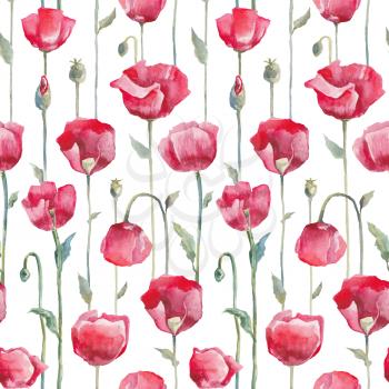 Red poppies on white background. Seamless watercolor floral pattern. Hand Drawn Flowers