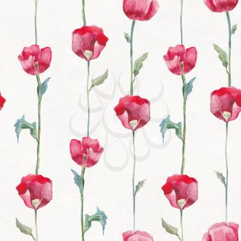 Red poppies on white background. Hand drawn Seamless watercolor floral pattern.