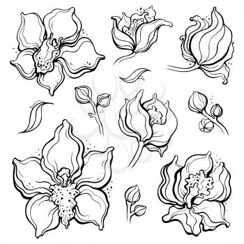 Floral pattern with Orchids. Beautiful golden seamless background. Elegant Hand Drawn vintage illustration