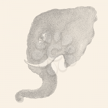 Head of elephant. Hand drawn ink illustration