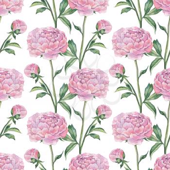 Peonies, seamless pattern. Hand painted Watercolor botanical illustration