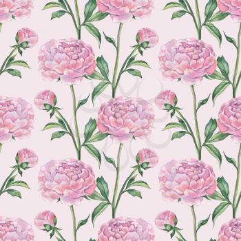 Peonies, seamless pattern. Hand painted Watercolor botanical illustration