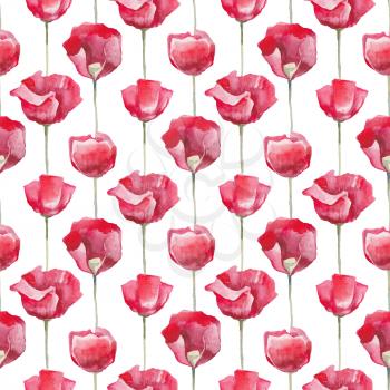 Red poppies on white background. Seamless watercolor floral pattern. Hand Drawn Flowers