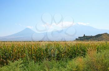 Royalty Free Photo of the Ancient Khor Virap Church and Mount Ararat