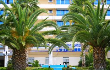 Royalty Free Photo of Palm Trees in Front of a Building