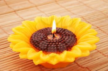 Royalty Free Photo of a Sunflower Candle