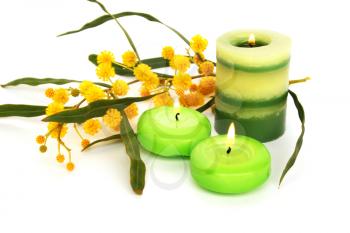 Royalty Free Photo of Candles and Flowers