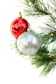 Royalty Free Photo of Christmas Ornaments in a Tree