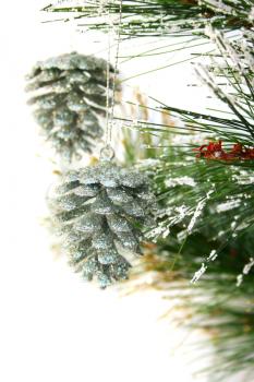 Royalty Free Photo of Christmas Ornaments in a Tree