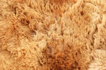 Royalty Free Photo of a Fur Fabric
