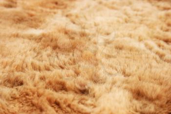 Royalty Free Photo of a Fur Fabric Background