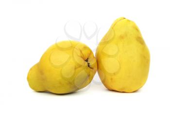 Royalty Free Photo of Quince Fruits
