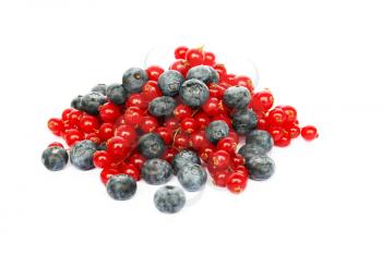 Royalty Free Photo of Red Currants and Blueberries