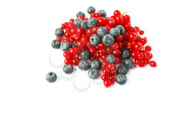 Royalty Free Photo of Red Currants and Blueberries