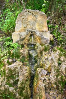 Royalty Free Photo of a Spring Near the Baths of Aphrodite, Cyprus