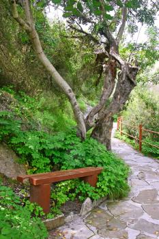 Royalty Free Photo of a Bench at the Baths of Aphrodite, Cyprus