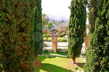 Royalty Free Photo of Trees by the Bellapais Abbey in Kyrenia