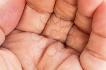 Royalty Free Photo of a Person's Hand