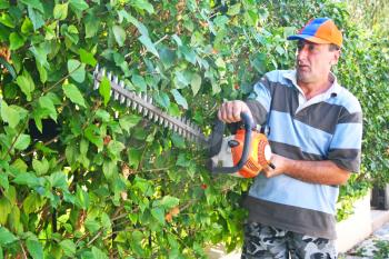 Royalty Free Photo of a Gardener Trimming a Bush