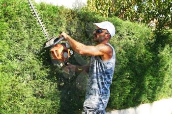 Royalty Free Photo of a Gardener Trimming a Bush