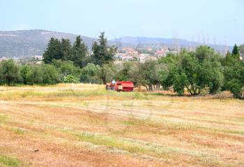 Royalty Free Photo of Harvest Time in Cyprus