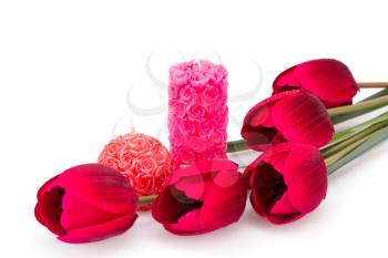 Tulips, candles isolated on white background.