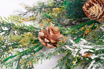 Christmas decoration with fir-tree branch and cones.