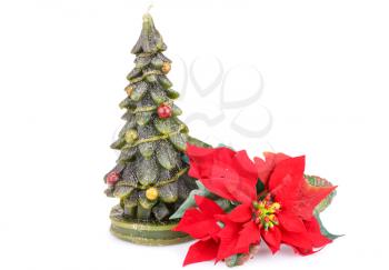 Fir tree candle and holly berry flower isolated on white background.