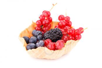 Fresh ripe berries in tartlet isolated on white background.