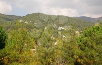 Cyprus village in mountains forest.